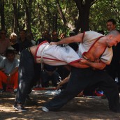 kung fu and martial arts