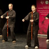kung fu and martial arts