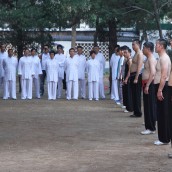kung fu and martial arts