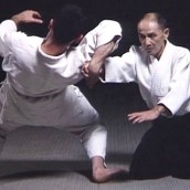 kung fu and martial arts