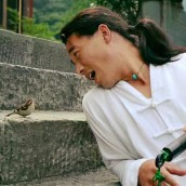 kung fu and martial arts