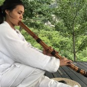 kung fu and martial arts