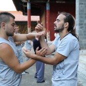 kung fu and martial arts