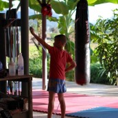 kung fu and martial arts