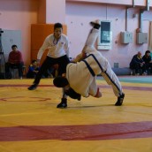 kung fu and martial arts
