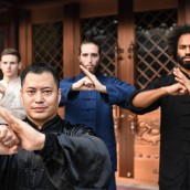 kung fu and martial arts