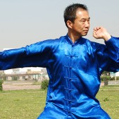 kung fu and martial arts