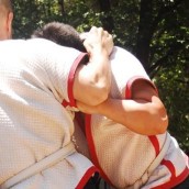 kung fu and martial arts