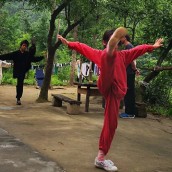 kung fu and martial arts