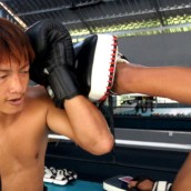 kung fu and martial arts
