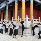 kung fu and martial arts