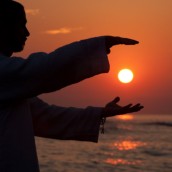 kung fu and martial arts