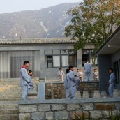 kung fu and martial arts
