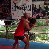 kung fu and martial arts