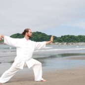 kung fu and martial arts