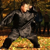 kung fu and martial arts
