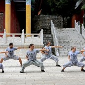 kung fu and martial arts