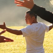 kung fu and martial arts