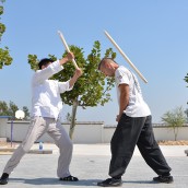 kung fu and martial arts