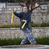 kung fu and martial arts