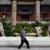 kung fu and martial arts