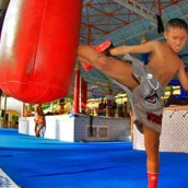 kung fu and martial arts