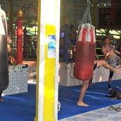 kung fu and martial arts