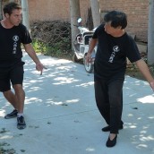 kung fu and martial arts