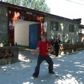 kung fu and martial arts