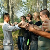 kung fu and martial arts