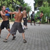 kung fu and martial arts