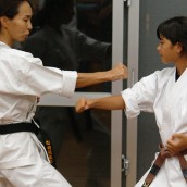 kung fu and martial arts