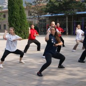 kung fu and martial arts