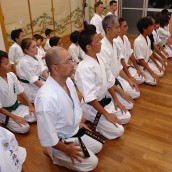 kung fu and martial arts
