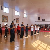 kung fu and martial arts