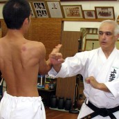kung fu and martial arts