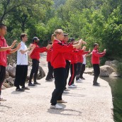 kung fu and martial arts