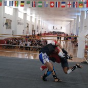 kung fu and martial arts