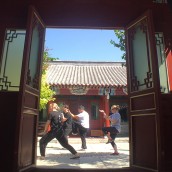 kung fu and martial arts