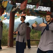 kung fu and martial arts