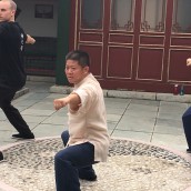 kung fu and martial arts
