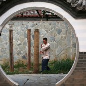 kung fu and martial arts