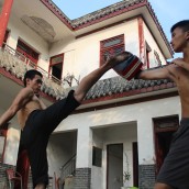 kung fu and martial arts