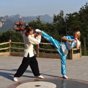 kung fu and martial arts