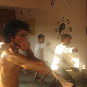 kung fu and martial arts