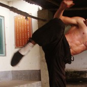 kung fu and martial arts