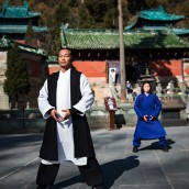 kung fu and martial arts
