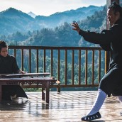 kung fu and martial arts