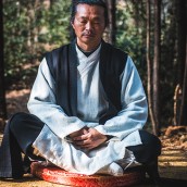 kung fu and martial arts