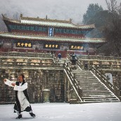 kung fu and martial arts